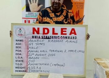 VIDEO: NDLEA Intercepts N6.2 Billion Worth of Drugs in Major Operations