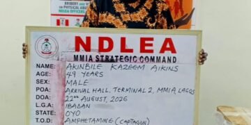 VIDEO: NDLEA Intercepts N6.2 Billion Worth of Drugs in Major Operations