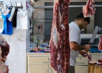 Iraqi Butcher Jailed 10 Years for Selling Pork as Beef in Najaf