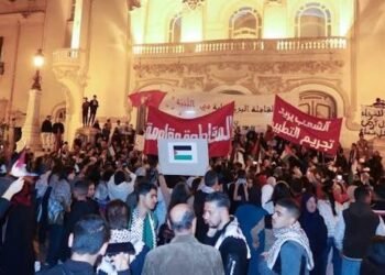 Hundreds Protest in Tunisia, Demand Release of Jailed Gaza Flotilla Activists