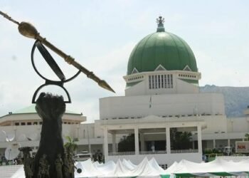 NASS Plans Translation of Nigerian Laws Into Igbo, Hausa, Yoruba