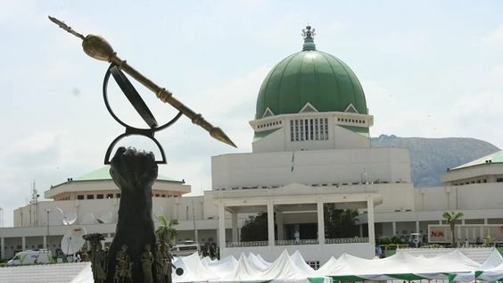 NASS Plans Translation of Nigerian Laws Into Igbo, Hausa, Yoruba