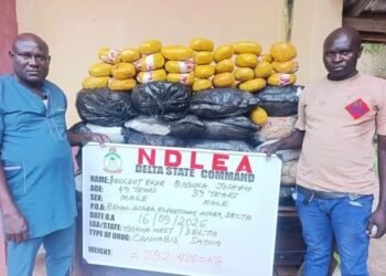 NDLEA Seizes N3.4bn Worth of Drugs, Arrests Fake Police Officer