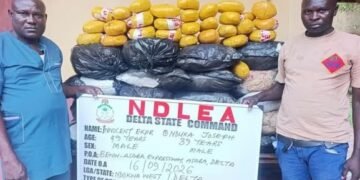 NDLEA Seizes N3.4bn Worth of Drugs, Arrests Fake Police Officer