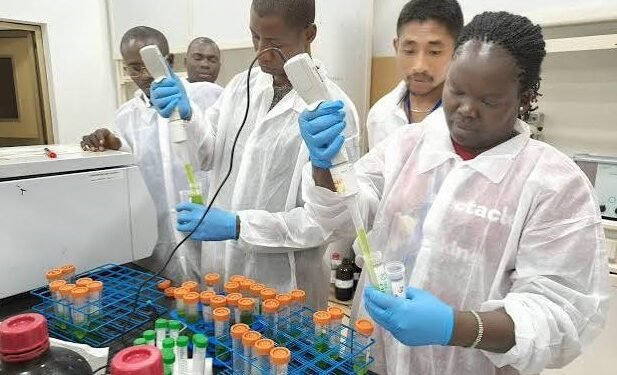 Togo Hosts Regional Laboratory Experts as Africa Strengthens Epidemic Preparedness