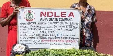 NDLEA Re-Arrests 83-Year-Old Woman Over Alleged Drug Possession in Abia