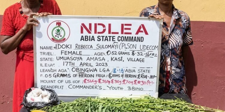 NDLEA Re-Arrests 83-Year-Old Woman Over Alleged Drug Possession in Abia
