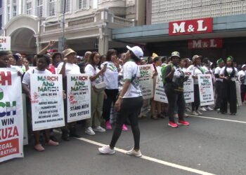 Hundreds of protesters march against undocumented immigration in Durban, South Africa