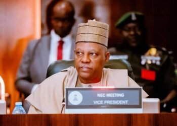 Fix Your Power Problems, Shettima Tells State Governments