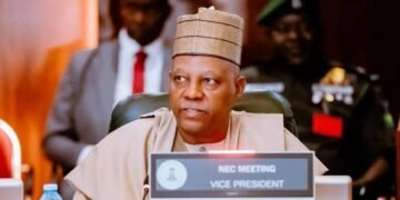 Fix Your Power Problems, Shettima Tells State Governments