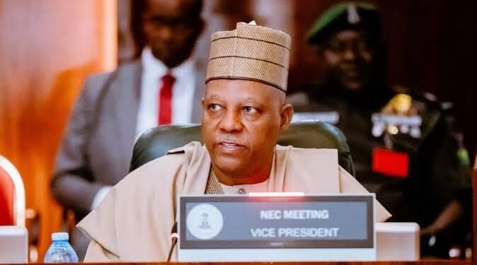 Fix Your Power Problems, Shettima Tells State Governments