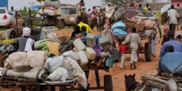 Mali Hosts 322,584 Refugees as Sahel Displacement Crisis Deepens