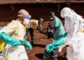 Ebola: FG Plans State Treatment Centres as Contacts Rise to 53