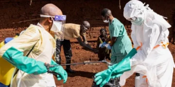 Ebola: FG Plans State Treatment Centres as Contacts Rise to 53