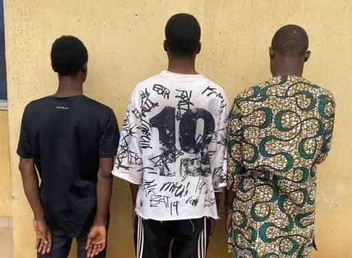 Oyo Police Arrest Three Men in Saki Over Alleged Same-Sex Acts