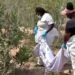 Kenya Awaits Verdict in Shakahola Massacre Trial Involving Paul Mackenzie