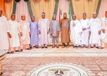 Eight Suspended Zamfara Lawmakers Deny Returning to APC After Meeting Tinubu